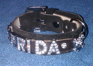Salve02